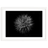 Backyard Flowers In Black And White No 20 Flow Version with Border thumbnail