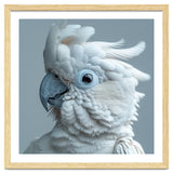 White Cockatoo Bird Portrait Close Up thumbnail