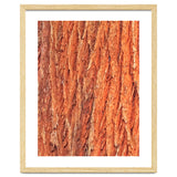 Tree Bark thumbnail