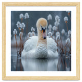 Swan Floating Serene On Calm Water thumbnail