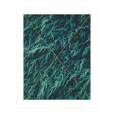 Restricted Reality (Print Only) thumbnail