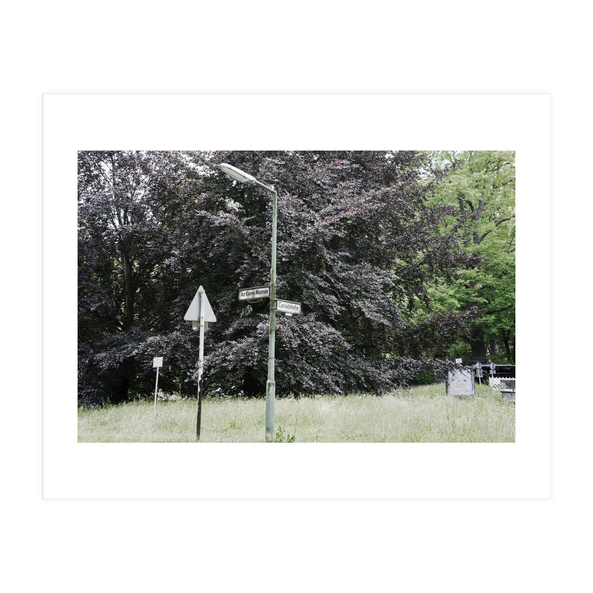 Signs at the corner of the street (Print Only)