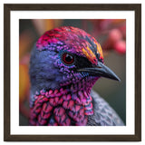 Vibrant Exotic Bird Detailed Feather Close Up thumbnail