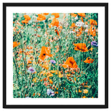 Eva | Nature Floral Meadow Garden | Photography Botanical Spring Bohemian Flowers thumbnail