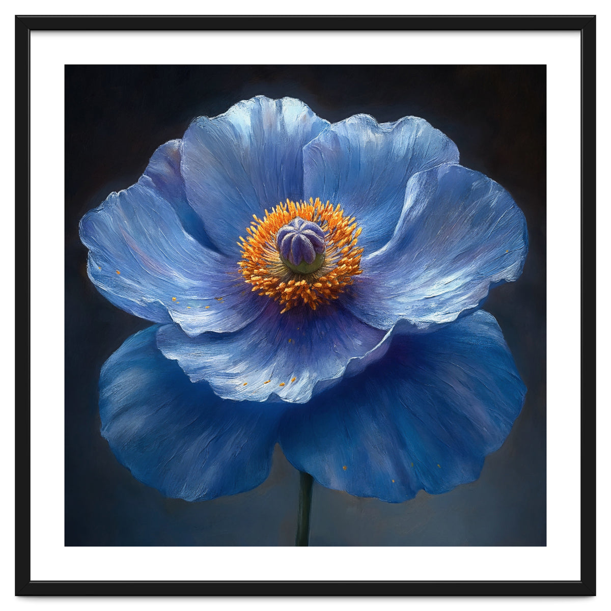 Meconopsis | Sapphire Serenade