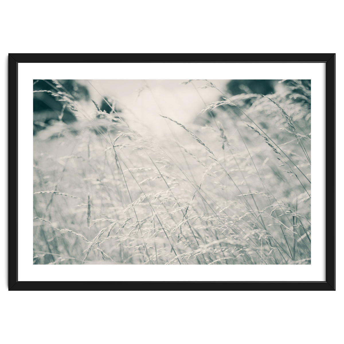 Walking Through Long Grass
