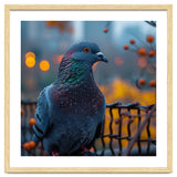 Pigeon With Water Droplets thumbnail