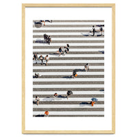 Rain Crossing | Polka Dots Zebra Crossing On The Street | Rain Eclectic Modern Graphic Design