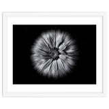 Backyard Flowers In Black And White No 10 Flow Version thumbnail