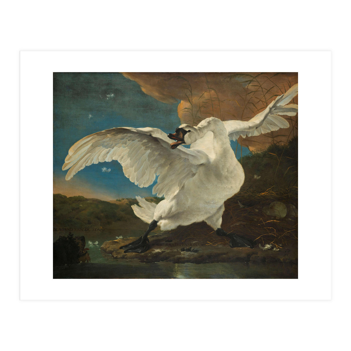 The Threatened Swan. The Threatened Swan; Interpreted later as an Allegory on Johan de Witt. Dati... (Print Only)