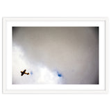 The Little Prince thumbnail