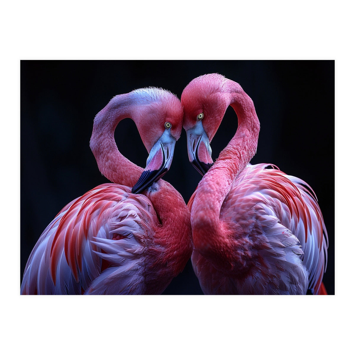 Two Pink Flamingos Forming A Heart Shape (Print Only)
