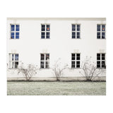 Small trees in between the windows  (Print Only) thumbnail