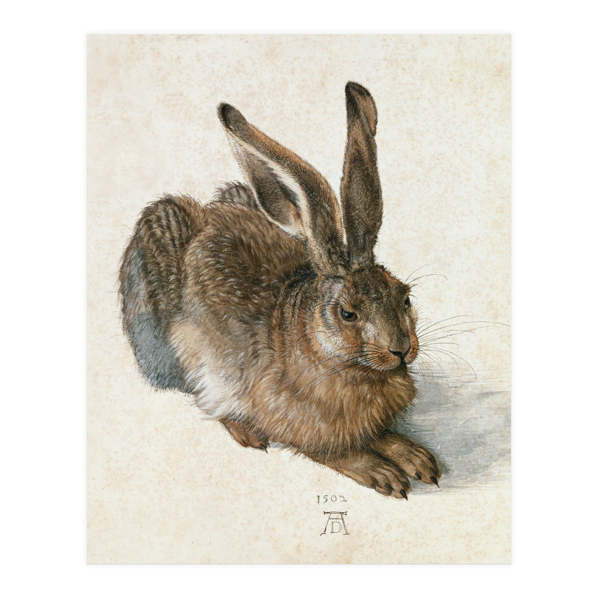 Hare-Hase. Watercolour. (Print Only)