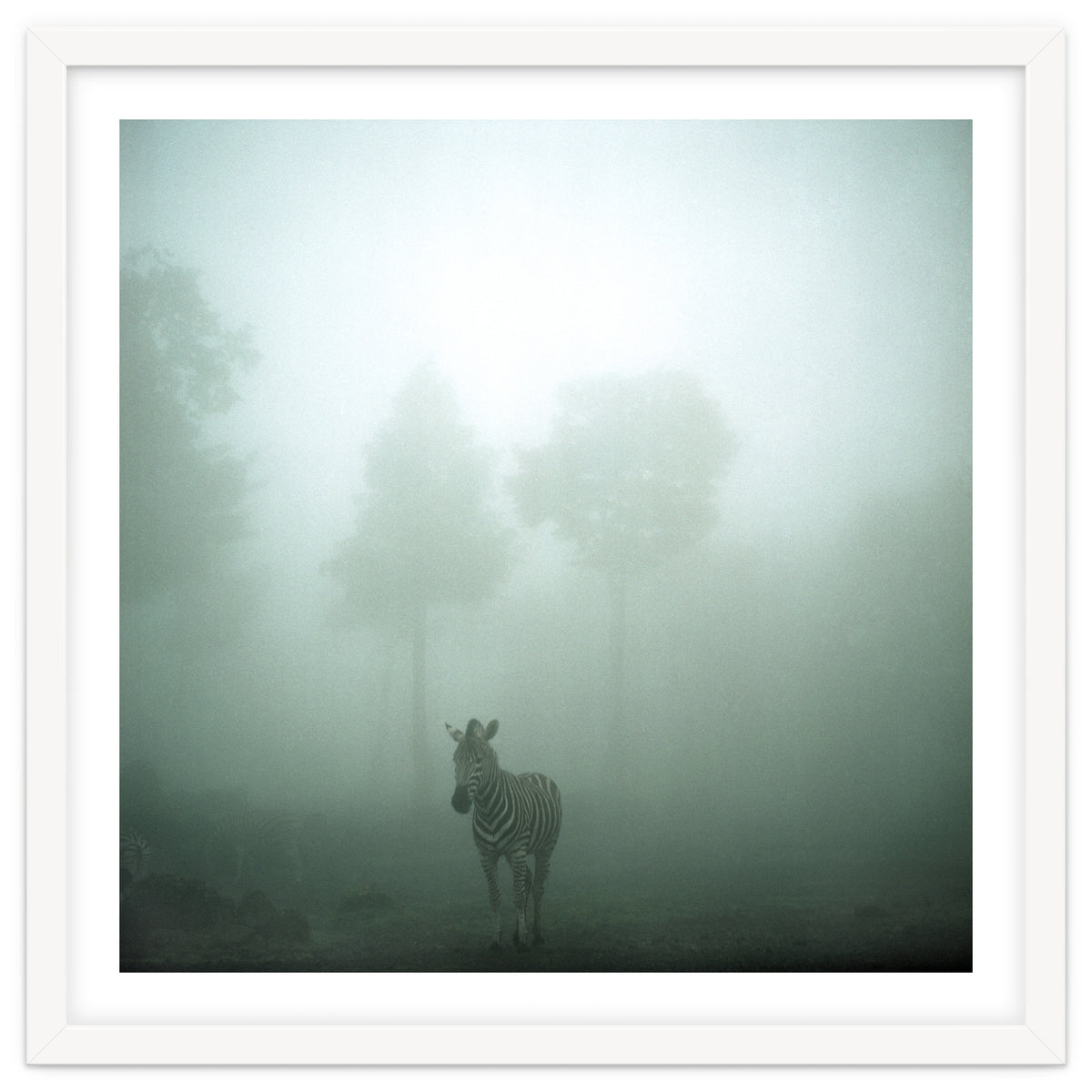 Silence of breath - 01