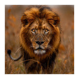 Majestic Lion King Of The Savannah In Dry Grass (Print Only) thumbnail