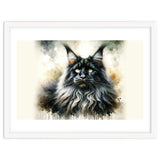 Majestic Long Haired Cat Portrait thumbnail