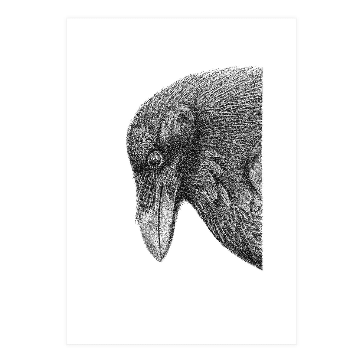 Huginn (Print Only)