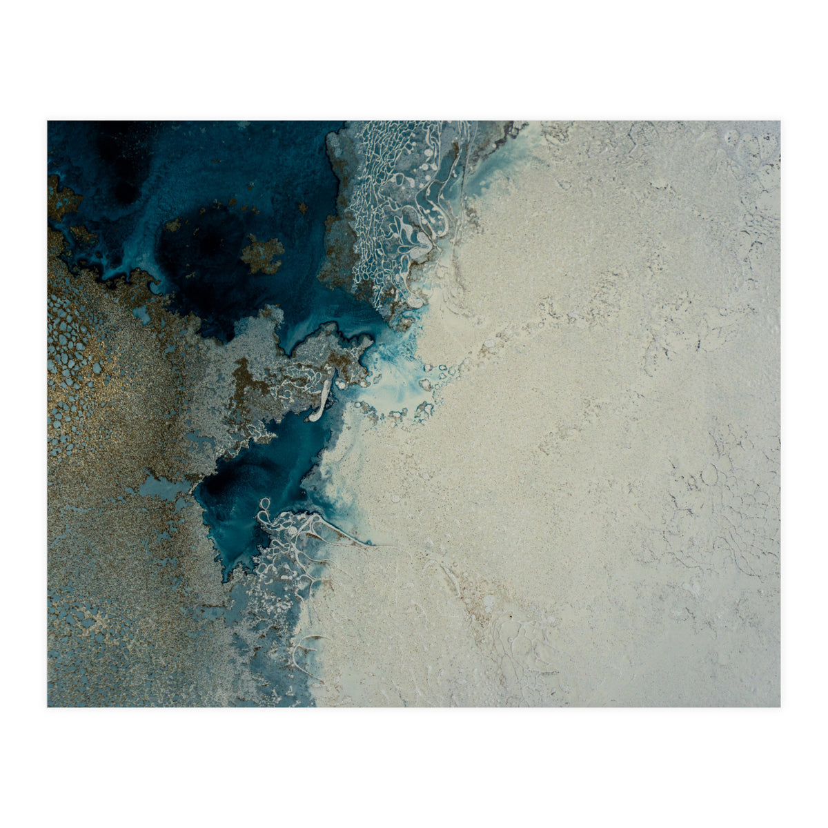 Harmony (Print Only)