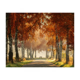 Red autumn (Print Only) thumbnail