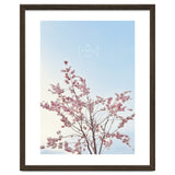 Sakura - cherry blossom thumbnail