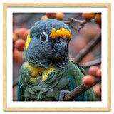 Yellow Headed Amazon Parrot Close Up Portrait thumbnail