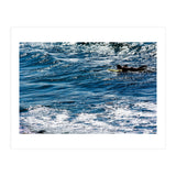 Forward (Print Only) thumbnail