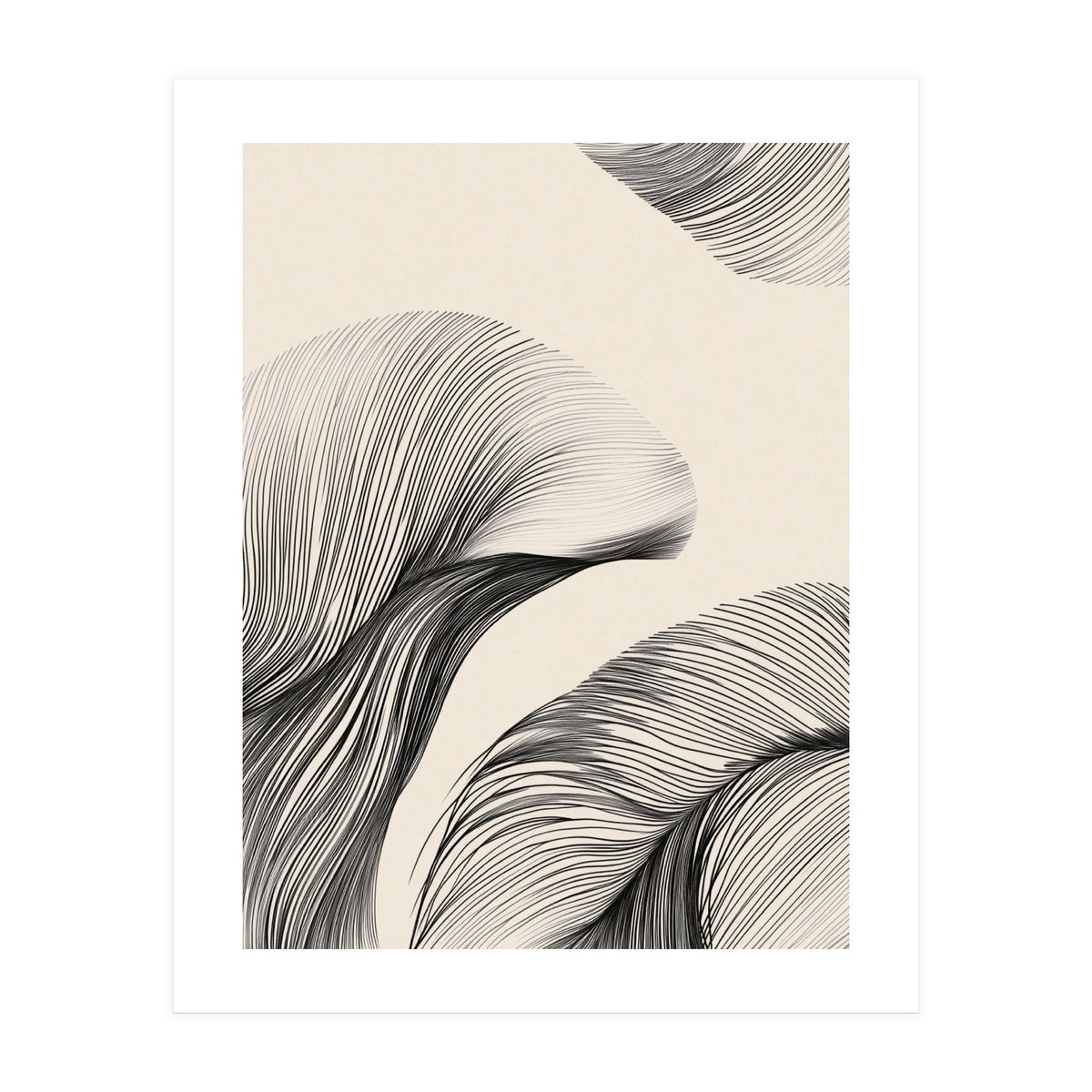 Black And White Flowing Lines Organic Shapes  (Print Only)