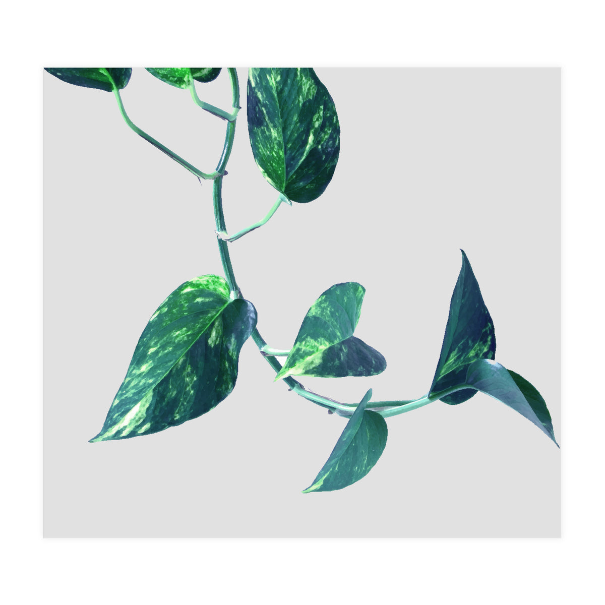 Projection & Emotion (Print Only)