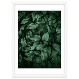 New Foliage Green Ii thumbnail