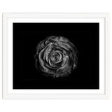 Backyard Flowers In Black And White No 72 with Border thumbnail