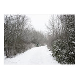 Walking through the snow park (Print Only) thumbnail