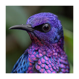 Vibrant Purple Bird With Water Droplets (Print Only) thumbnail