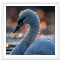 Close-up Shot of a Swan with Water Droplets