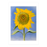 Georgia O’Keeffe – Sunflower, New Mexico (1935) | Bold Modernist Floral Painting Inspired by the American Southwest (Print Only) thumbnail