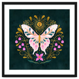 Butterfly And Sun thumbnail