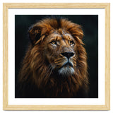 Majestic Lion Portrait In Gentle Rain thumbnail