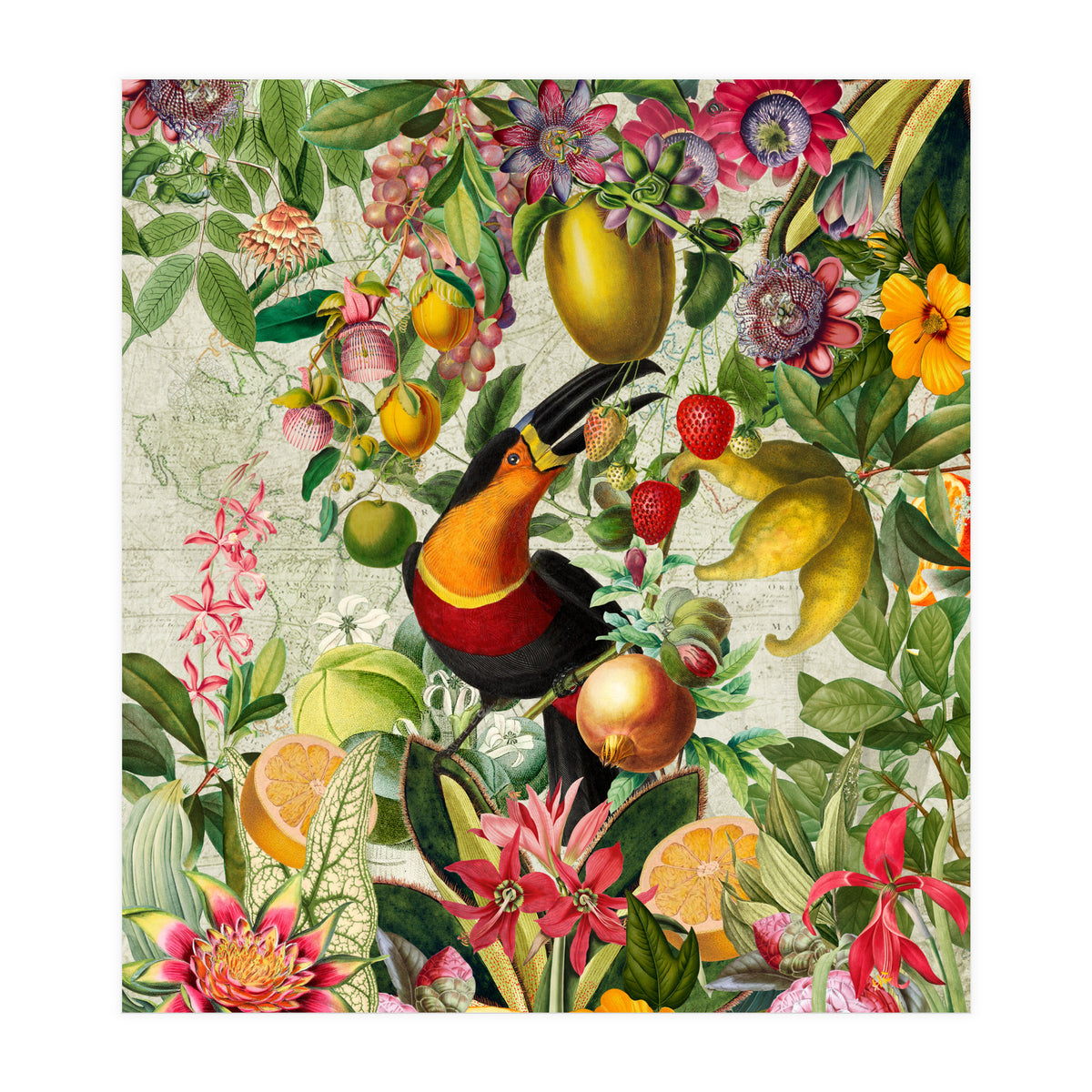 Toucan vintage jungle 1 (Print Only)