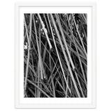 Black Tectorius Plant Shoots Art thumbnail