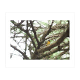 Mini sun (Print Only) thumbnail
