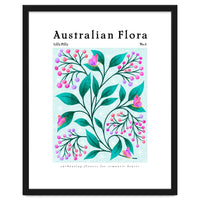 Australian Flora: Lilly Pilly