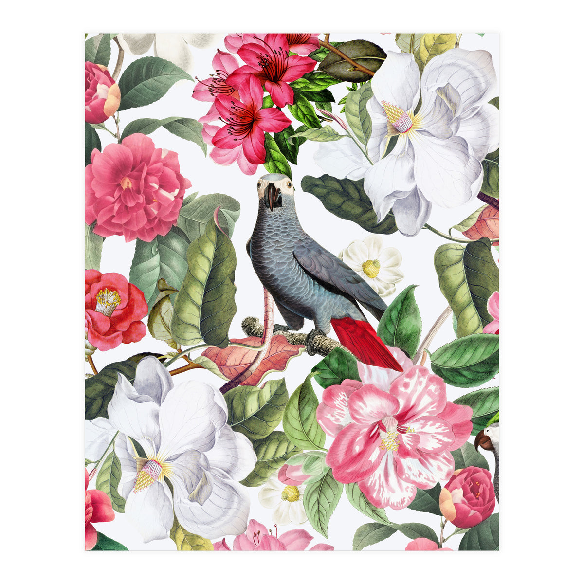 Vintage Cockatoo in Flower Jungle (Print Only)