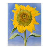Georgia O’Keeffe – Sunflower, New Mexico (1935) | Bold Modernist Floral Painting Inspired by the American Southwest (Print Only)