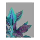 Still Nature (Print Only) thumbnail
