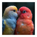 Two Lovebirds Nuzzling Close Up Portrait (Print Only) thumbnail