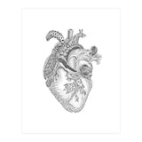 What You Love (Print Only) thumbnail