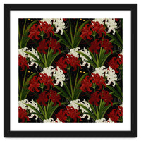 Red and White Spider Lily Flower Print Elegant Botanical Japanese Inspired Floral Artwork