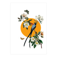 collage floral birds (Print Only)