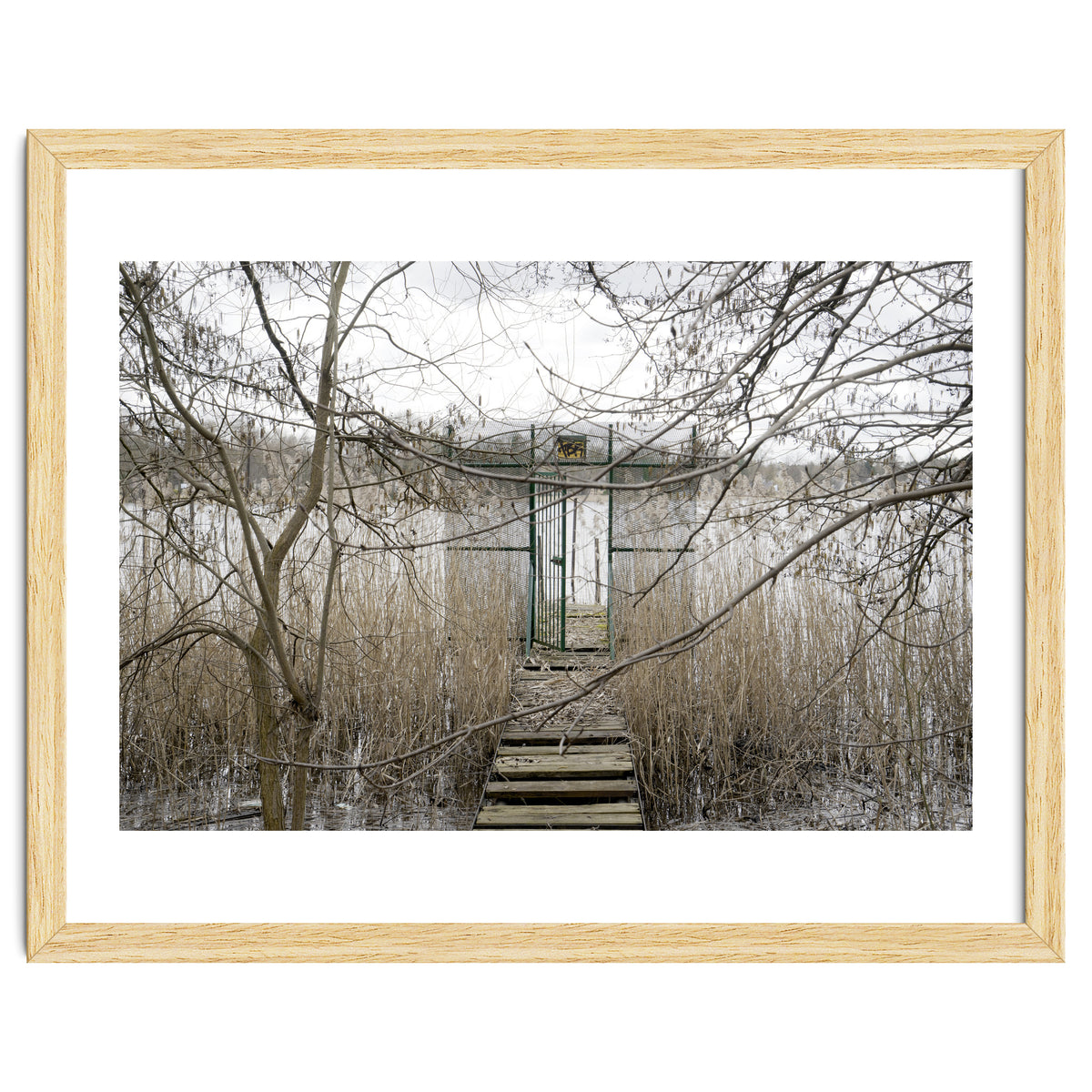 The gate to the lake