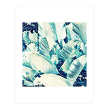 Banana Leaf Crush (Print Only) thumbnail